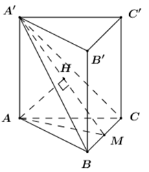 Cho khối lăng trụ tam giác đều ABC.A'B'C' có cạnh đáy là 2a  (ảnh 1)
