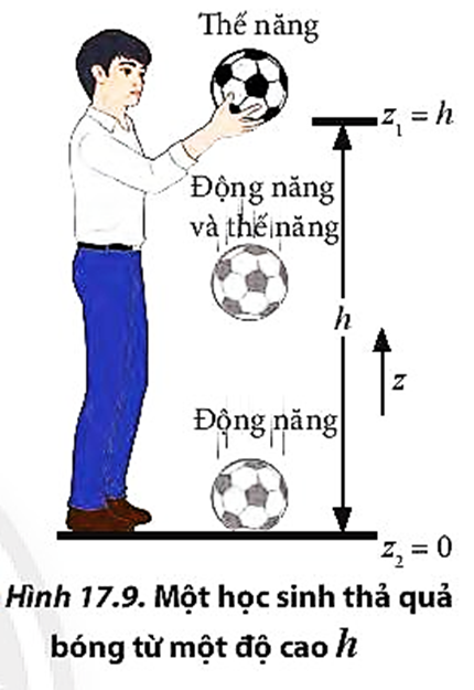 Phân tích lực tác dụng lên quả bóng và sự chuyển hóa giữa động năng và thế năng của quả bóng trong quá trình rơi (Hình 17.9). (ảnh 1)