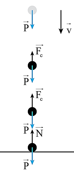 Phân tích lực tác dụng lên quả bóng và sự chuyển hóa giữa động năng và thế năng của quả bóng trong quá trình rơi (Hình 17.9). (ảnh 2)