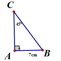 Giải tam giác ABC vuông tại A, biết rằng: a) AC = 14cm, góc B = 60 độ (ảnh 2)