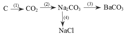 Viết các phản ứng hóa học thực hiện dãy chuyển hóa sau (ảnh 1)