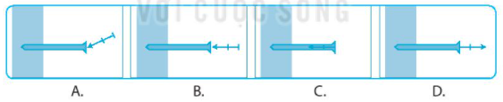 Hình nào biểu diễn đúng lực do búa đinh đóng vào tường với tỉ xích 0,5 cm ứng với 10 N? (ảnh 1)