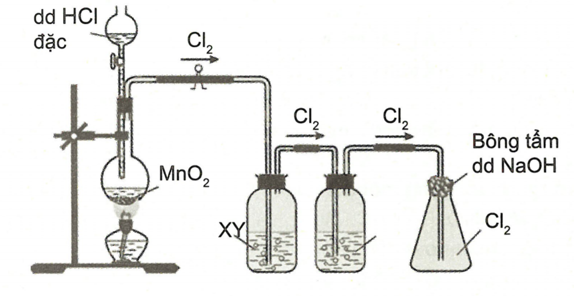 10 dụng cụ thí nghiệm hóa học thông dụng Phần 1  Dụng cụ thí nghiệm  Nguyên Việt Triều