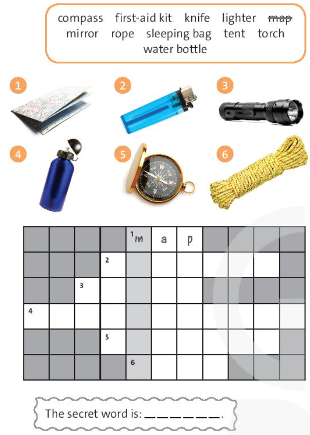 Look at the photos. Complete the crossword with some of the words in the box (ảnh 1)