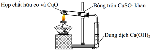 Cho hình vẽ mô tả quá trình định tính các nguyên tố C và H trong hợp chất hữu cơ. Vai trò của (ảnh 1)