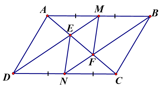 Cho hình bình hành ABCD, Gọi M, N lần lượt là trung điểm AB và CD, đường chéo AC cắt DM tại E và cắt BN tại F. (ảnh 1)