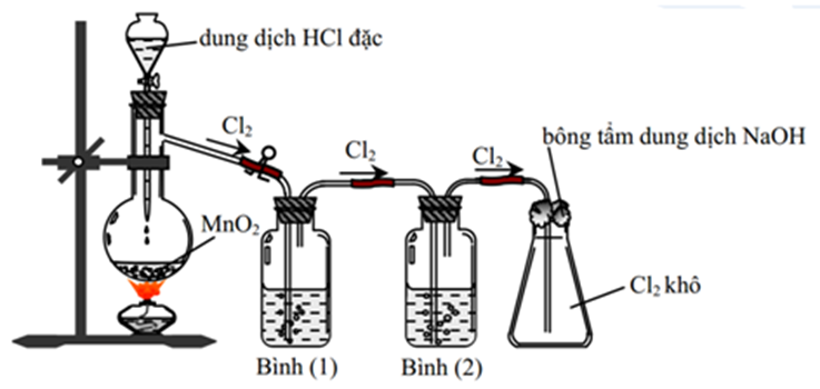 Cho hình vẽ, mô tả thí nghiệm điều chế Cl2 từ MnO2 và HCl. Hãy cho biết bình (1) và bình (2) chứa chất gì? Công dụng của các chất chứa trong các bình (1) và bình (2). (ảnh 1)