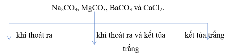 Bằng phương pháp hóa học, nhận biết 4 lọ hóa chất mất nhãn chứa 4 dung dịch muối sau: Na2CO3, MgCO3, BaCO3 và CaCl2. (ảnh 1)