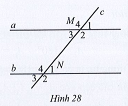Quan sát Hình 28, biết a // b, góc M3 = 50 độ (ảnh 1)