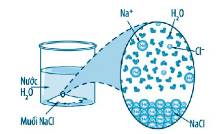 Phân tử nước liên kết với các phân tử phân cực khác bằng cách nào? Vẽ hình minh hoạ. (ảnh 1)