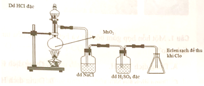 Cho hình biểu diễn quá trình điều chế khí clo trong phòng thí nghiệm như sau:  Vai trò của dung dịch H2SO4 đặc là giữ lại (ảnh 1)