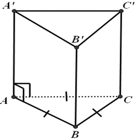 Cho hình lăng trụ đứng ABC.A'B'C' có đáy ABC là tam giác đều, AB = 4cm,AA' = 5cm. Tính diện tích xung quanh, diện tích toàn phần và thể tích của hình lặng trụ AB	C.A'B'C' ? (ảnh 1)