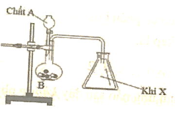 Cho thí nghiệm như hình sau: Chất B và X tương ứng trong thí nghiệm là: (ảnh 1)