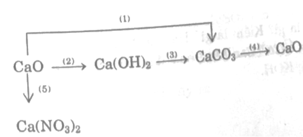 Viết các phương trình hóa học thực hiện những biến hóa hóa học theo sơ đồ sau: (ảnh 1)