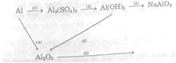 a. Viết các phương trình phản ứng biểu diễn các biến hóa sau: (ảnh 1)
