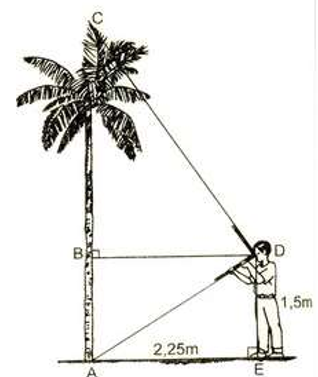 Một người thợ sử dụng thước ngắm có góc vuông để đo gián tiếp chiều cao của một cái cây. Với các kích thước đo được như hình bên: (ảnh 1)