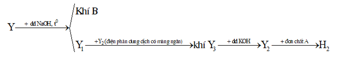 b) Từ muối Y viết các phương trình hóa học thực hiện sơ đồ sau (dung dịch viết tắt là dd) (ảnh 1)