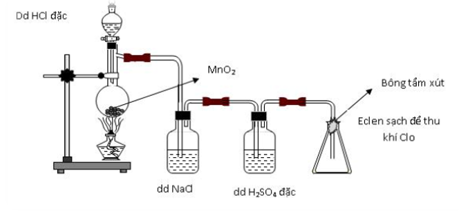 Hình vẽ sau mô tả thí nghiệm điều chế và thu khí clo trong phòng thí nghiệm. (ảnh 1)