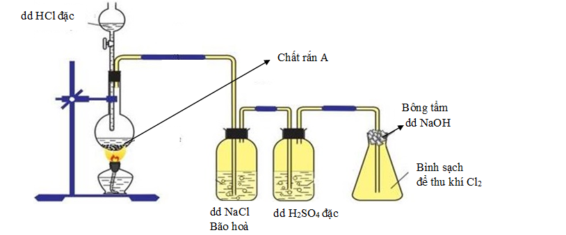 Sơ đồ dưới đây mô tả thí nghiệm điều chế khí Cl2 trong phòng thí nghiệm. (ảnh 1)