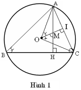 Cho tam giác ABC nội tiếp trong đường tròn tâm O, với AB > AC. Kẻ đường cao AH, bán kính OA.  (ảnh 1)