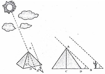 Làm thế nào đo được độ cao của kim tự tháp? (ảnh 1)