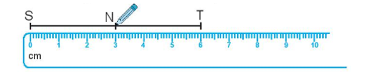 a) Quan sát hình dưới đây, viết vào chỗ chấm. N là trung điểm của đoạn thẳng ST vì: N  (ảnh 1)