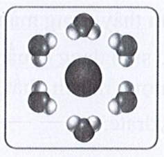 Phân tử tương tác với các phân tử nước trong hình sau là  (ảnh 1)