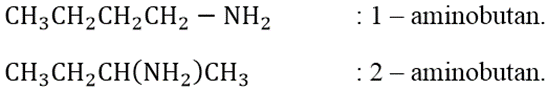 Viết công thức cấu tạo và gọi tên các đồng phân của các hợp chất có công thức phân tử C4H11N. (ảnh 2)