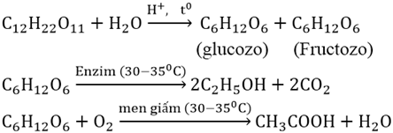 Viết các phản ứng theo sơ đồ chuyển đổi sau:     Saccarozo → caxi saccarat → saccarozo → glucozo  (ảnh 1)