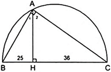 Chân đường cao AH chia cạnh huyền BC thành hai đoạn thẳng có độ dài lần lượt là (ảnh 1)
