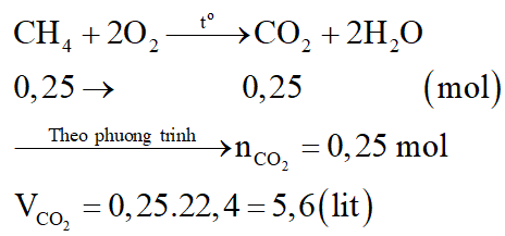 Khi đốt cháy hoàn toàn 0,25 mol metan người ta thu được một lượng khí CO2 (đktc) có thể tích là: (ảnh 1)