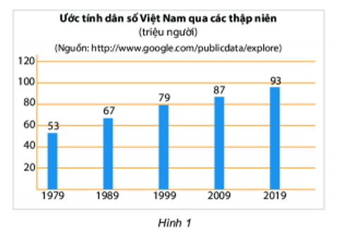 Dân số Việt Nam từ năm 1999 đến năm 2009 tăng (ảnh 1)