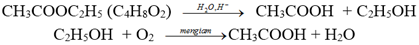 Thủy phân este E có công thức phân tử C4H8O2 với xúc tác axit vô cơ loãng, thu được hai sản phẩm hữu cơ X, Y (ảnh 1)