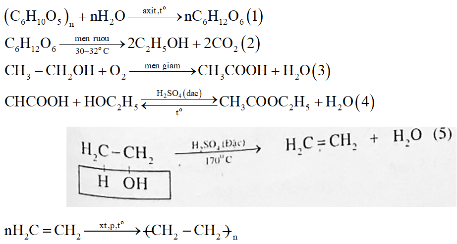 Viết các phương trình hóa học hoàn thành sơ đồ sau (mỗi mũi tên ứng với một phương trình hóa học; ghi rõ điều kiện phản ứng nếu có) (ảnh 2)