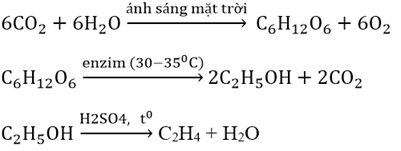 Cho sơ đồ chuyển hóa sau : CO2 → X → Y → Z. Các chất X, Y, Z là (ảnh 1)