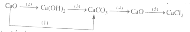 Viết các phương trình hóa học thực hiện những chuyển đổi hóa học theo sơ đồ sau: (ảnh 1)
