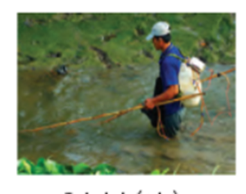 ảnh hưởng đến môi trường và nguồn lợi thủy sản là do ảnh hưởng của biến đổi khí hậu (ảnh 1)