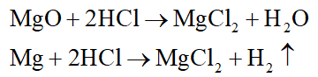 Nung nóng 6,72 gam Mg trong O2 một thời gian thu được chất rắn X. Hòa tan X trong HCl dư, thu được dung dịch Y. Cho toàn bộ dung dịch Y tác dụng với dung dịch NaOH dư, thu được chất rắn Z. Nung Z trong không khí đến khối lượng không đổi thu được m gam chất rắn. Xác định m. (ảnh 2)