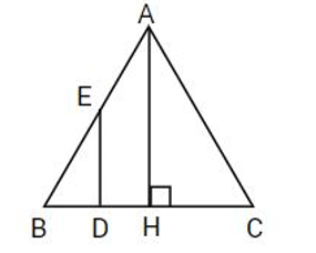 Điền số thích hợp vào ô trống:  Trong hình đã cho có   cặp cạnh song song với nhau. (ảnh 1)