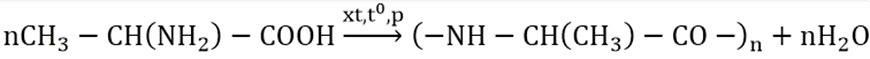 Sản phẩm của phản ứng trùng ngưng amino axit: CH3-CH(NH2)-COOH là: (ảnh 1)