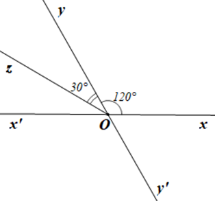 Quan sát Hình 12.  Cho hai góc xOy, yOz là hai góc kề nhau, góc xOz = 150 độ và góc xOy - góc yOz = 90 độ.  b) Vẽ các tia Ox' và Oy' lần lượt là tia đối của các tia Ox, Oy. Tính số đo mỗi góc x'Oy', y'Oz, xOy'. (ảnh 2)