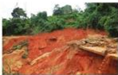 Hình ảnh nào sau đây cho thấy hậu quả của việc mất rừng là đất bị xói mòn? (ảnh 4)