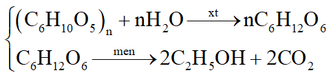 viết các phương trình phản ứng biết A có thể điều chế từ tinh bột và được dùng để pha chế xăng sinh học E5. (ảnh 2)