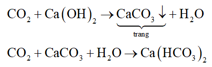 Có 2 dung dịch không màu là Ca(OH)2 và NaOH. Để phân biệt 2 dung dịch này bằng phương pháp hóa học người ta dùng (ảnh 1)