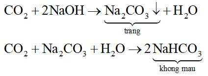 Có 2 dung dịch không màu là Ca(OH)2 và NaOH. Để phân biệt 2 dung dịch này bằng phương pháp hóa học người ta dùng (ảnh 2)