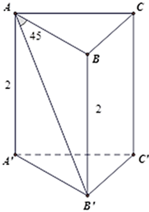 Cho hình lăng trụ tam giác đều ABC.A'B'C' có chiều cao bằng 2cm, BAB'ˆ = 450 . Tính diện tích xung quanh của hình lăng trụ? (ảnh 1)