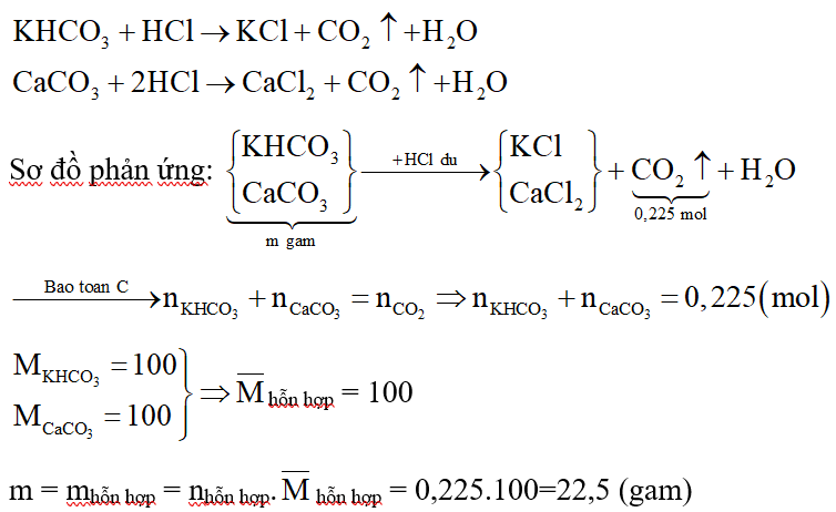 Hòa tan m gam hỗn hợp gồm KHCO3 và CaCO3 trong lượng dư dung dịch HCl. Sau khi các phản ứng xảy ra hoàn toàn thu được 5,04 lít CO2 (đktc). Giá trị của m là: (ảnh 2)