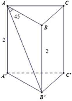 Cho hình lăng trụ tam giác đều ABC.A'B'C' có chiều cao bằng 2cm, BAB'ˆ = 450 . Tính diện tích toàn phần của hình lăng trụ? (ảnh 1)