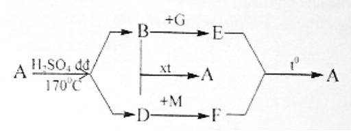 viết các phương trình phản ứng biết A có thể điều chế từ tinh bột và được dùng để pha chế xăng sinh học E5. (ảnh 1)
