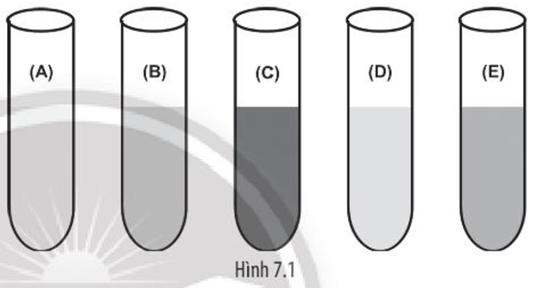 Năm ống nghiệm ở Hình 7.1 là kết quả của thí nghiệm nhận biết tinh bột  (ảnh 1)